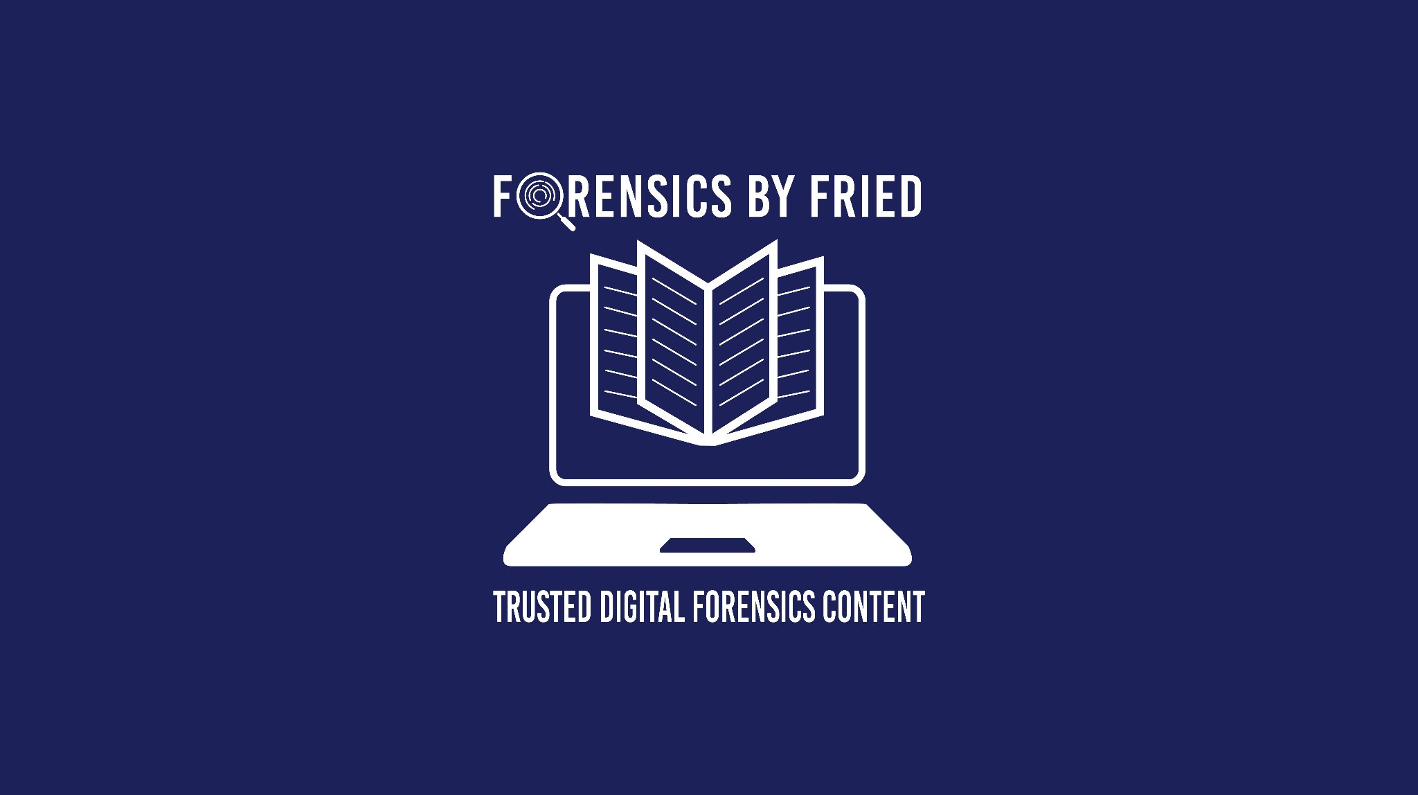 Robert B. Fried — Digital Forensics Expert Witness, eDiscovery ...